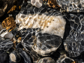 A white striped stone on the bottom of the river with clear water A white striped stone on the bottom of the river with clear water